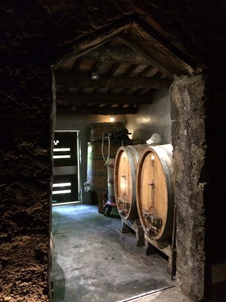 Degustazione Palazzone - La grotta del Musco