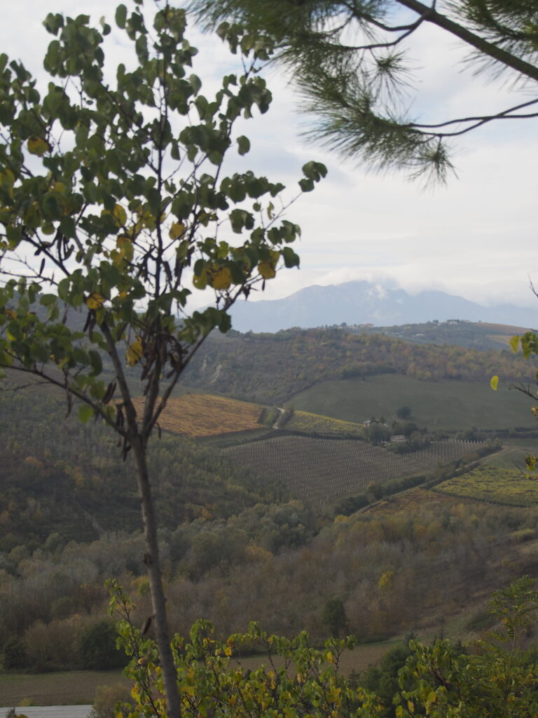 Il Gran Sasso sullo sfondo